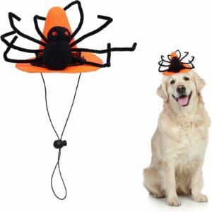 Chapeau Halloween pour animaux